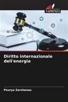 Pourya Zarshenas - Diritto internazionale dell'energia