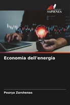 Pourya Zarshenas - Economia dell'energia