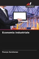 Pourya Zarshenas - Economia industriale