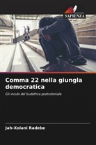 Jah-Xolani Radebe - Comma 22 nella giungla democratica