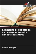 Mahesh Mahajan - Rimozione di oggetti da un'immagine tramite l'Image Inpainting