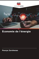 Pourya Zarshenas - Économie de l'énergie