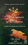 Kimberley Holmes, Carl Leggo - The Spaces in Between