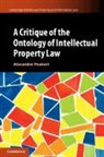 Alexander Peukert - Critique of the Ontology of Intellectual Property Law