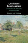 Josh (University of Houston) Weisberg, Josh Weisberg, Weisberg Josh - Qualitative Consciousness