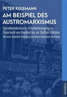 Peter Kulemann - Am Beispiel des Austromarxismus
