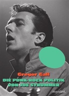 Gregor Gall - Die Punk-Rock Politik von Joe Strummer