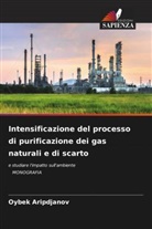 Oybek Aripdjanov - Intensificazione del processo di purificazione dei gas naturali e di scarto