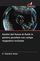 P. Chandra Sekar - Analisi del flusso di fluidi in piastre parallele con campo magnetico inclinato