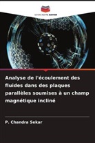 P. Chandra Sekar - Analyse de l'écoulement des fluides dans des plaques parallèles soumises à un champ magnétique incliné