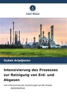 Oybek Aripdjanov - Intensivierung des Prozesses zur Reinigung von Erd- und Abgasen