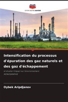 Oybek Aripdjanov - Intensification du processus d'épuration des gaz naturels et des gaz d'échappement