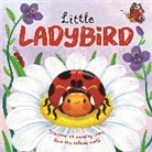 Autumn Publishing - Little Ladybird