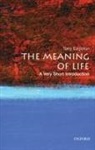 Terry Eagleton, Terry (John Edward Taylor Professor of English at the University of Manchester) Eagleton - The Meaning of Life