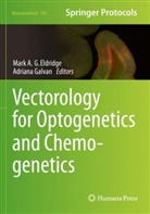 Mark A G Eldridge, Mark A G Eldridge, Mark A. G. Eldridge, Mark A.G. Eldridge, Galvan, Adriana Galvan - Vectorology for Optogenetics and Chemogenetics