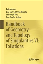 Felipe Cano, José Luis Cisneros-Molina, Lê D_ng Tráng, Lê D¿ng Tráng, Lê Dung Tráng et al, José Luis Cisneros-Molina... - Handbook of Geometry and Topology of Singularities VI: Foliations