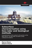 Marco Pérez, Alberti Viloria - Subsurface characterisation using Geo-radar and Geological methods