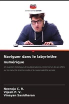 Neeraja C. R., Vijesh P. V., Vinayan Sasidharan - Naviguer dans le labyrinthe numérique