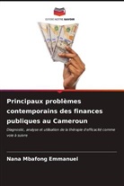 Nana Mbafong Emmanuel - Principaux problèmes contemporains des finances publiques au Cameroun