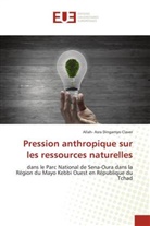 Allah- Asra Dingamyo Claver - Pression anthropique sur les ressources naturelles