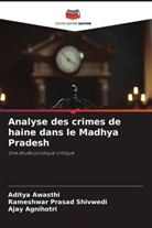 Ajay Agnihotri, Aditya Awasthi, Rameshwar Prasad Shivwedi - Analyse des crimes de haine dans le Madhya Pradesh