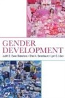 Sheri A Berenbaum, Sheri A. Berenbaum, Berenbaum Sheri A., Judith E Owen Blakemore, Judith E. Owen Blakemore, Blakemore Judith E. Owen... - Gender Development