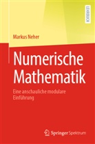 Markus Neher - Numerische Mathematik