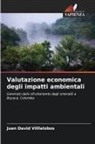 Juan David Villlalobos - Valutazione economica degli impatti ambientali