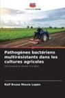 Ralf Bruno Moura Lopes - Pathogènes bactériens multirésistants dans les cultures agricoles