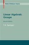 T A Springer, T. A. Springer, Tonny Albert Springer - Linear Algebraic Groups