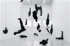 Sophie Biass-Fabiani, Michael Green - Antony Gormley