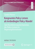 Sandra Plümer - Kongruentes Policy-Lernen als lernbedingter Policy-Wandel