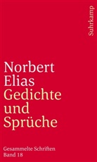 Norbert Elias, Reinhard Blomert, Heike Hammer, Johan Heilbron, Johan Heilbron u a, Annette Treibel... - Gesammelte Schriften in 19 Bänden