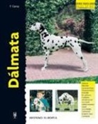 Frances Camp - Dálmata