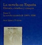 Juan Ignacio Ferreras - Siglo XX : primera parte