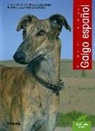 Melisa Vara Orozco - El galgo español