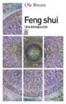 Ole Bruun - Feng shui : una introducción