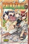 Hiro Mashima - Fairy tail 29