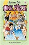 Eiichiro Oda - One Piece 35, Capitán