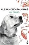 Alejandro Palomas - Un perro