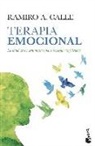 Ramiro Calle, Ramiro A. Calle - Terapia emocional : la salud de los sentimientos