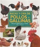 Razas y cría de pollos y gallinas