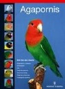 Agapornis