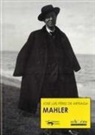 José Luis Pérez de Arteaga - Mahler