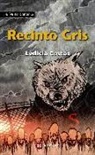 Ledicia Costas - Recinto gris