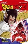 Akira Toriyama - Dragon Ball Z, Anime Series Saiyan 5