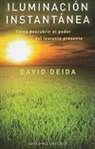 David Deida - Iluminacion Instantanea