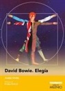 Juan José Ordás Fernández - David Bowie : elegía