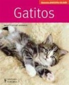 Brigitte Eilert-Overbeck - Gatitos : manuales mascotas en casa
