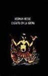 Hermann Hesse, Jenaro Talens Carmona - Escrito en la arena